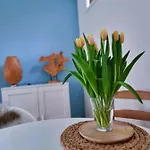 Blue Wave * Egmond aan Zee