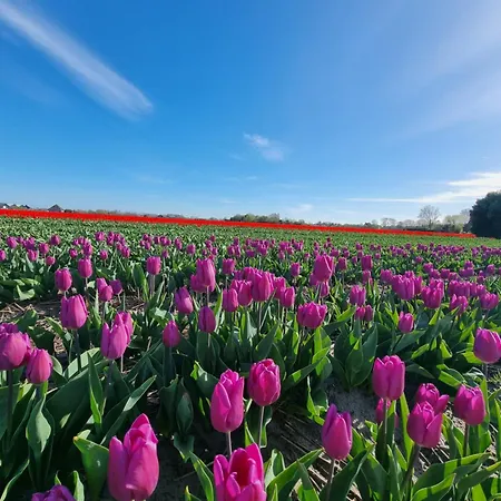 Semesterbostad Blue Wave *