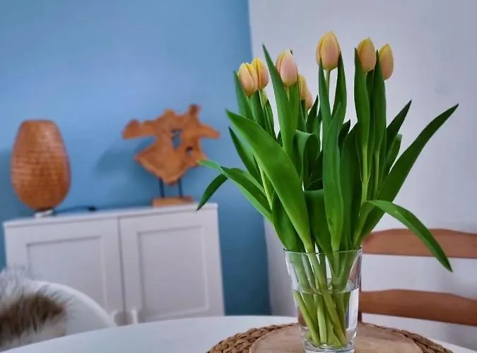 Blue Wave * Egmond aan Zee