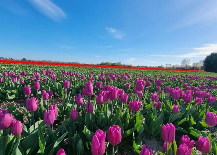 Tatil Evi Blue Wave *